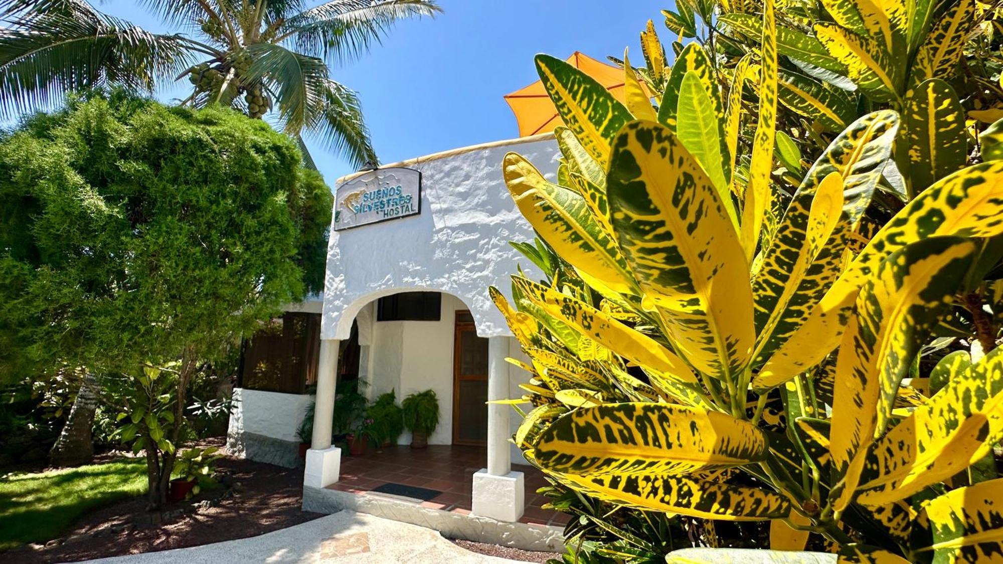 Hostal Suenos Silvestres Puerto Ayora  Eksteriør billede