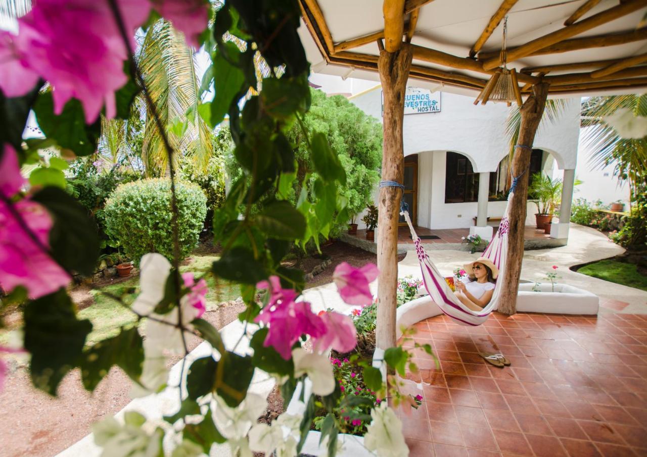 Hostal Suenos Silvestres Puerto Ayora  Eksteriør billede
